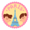 A%20Parisian%20Journey
